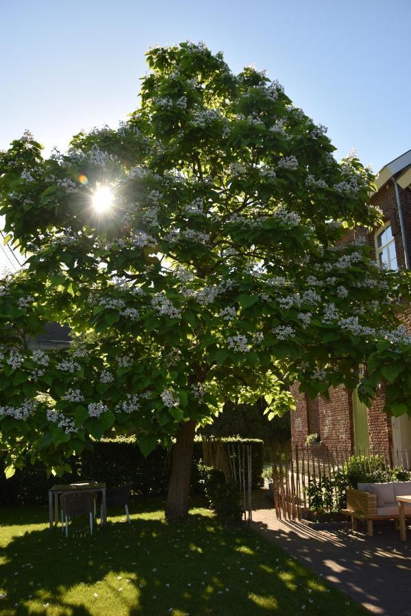 Mille Fleurs - Apartments Voeren Exteriör bild